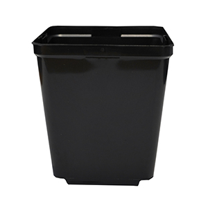 Square Injection Pot 2L 5.5in x 5.5in x 6in