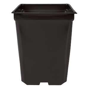 Square Pot 2qt 5.5in x 5.5in x 6in