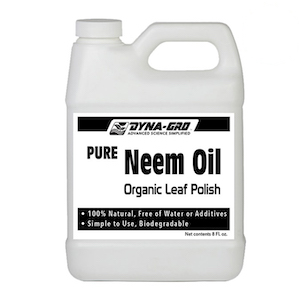 Dyna-Gro Neem Oil Leaf Polish 5 Gallon